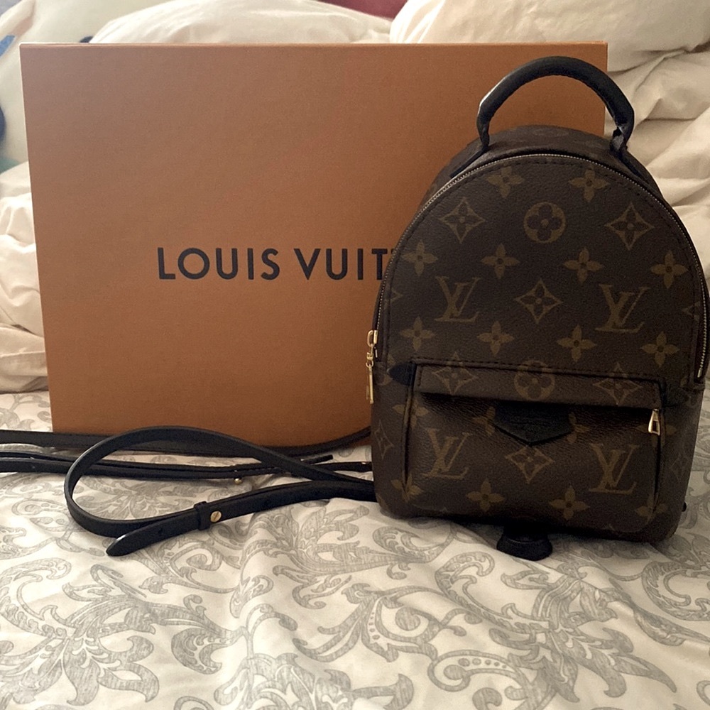 Louis Vuitton Palm Springs Mini